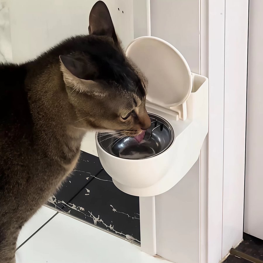 Cat water bowl toilet design