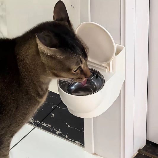 Cat water bowl toilet design