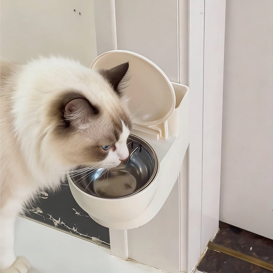 Cat water bowl toilet design